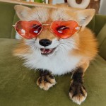 maqqy's Avatar